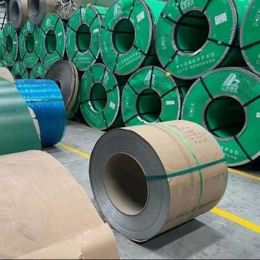 309S 2mm 1219mm Duplex Stainless Duplex Steel Sheet Coils Hot Rolled